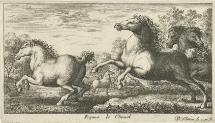 Hästar Equus le Cheval (titel på objekt) Olika djurarter (serietitel)