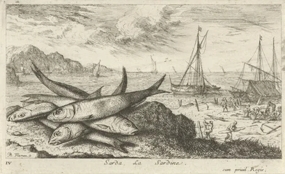 Sardiner på stranden Sarda, La Sardine. (titel på objekt) Fiskar och andra havsdjur - saltvatten första serie (serietitel) Diverse Especes de Poissons de mer (serietitel)