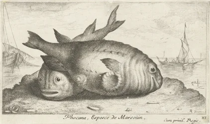 Två tumlare på stranden Phocana, Espèce de Marsoüin, (titel på objekt) Fish and Other Sea Creatures - Saltwater Third Series (serietitel) Poissons de mer (serietitel)