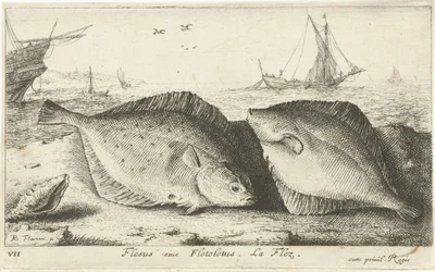 Två rödspätta på stranden Flesus siue Fleteletus. La flez. (titel på objekt) Fiskar och andra havsdjur - saltvatten första serie (serietitel) Diverse Especes de Poissons de mer (serietitel)