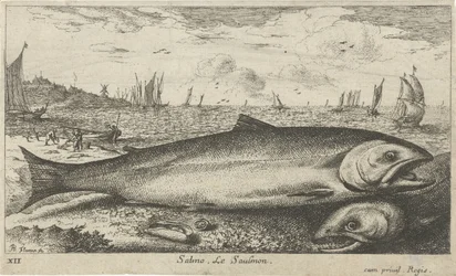 Två laxar på stranden Lax. Le saulmon (titel på objekt) Fiskar och andra havsdjur - saltvatten första serie (serietitel) Diverses Especes de Poissons de mer (serietitel)