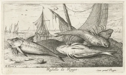 Fyra röda multar på stranden Rubellio Le Rouget. (titel på objekt) Fiskar och andra havsdjur - saltvattens andra serie (serietitel) Poissons de mer (serietitel)