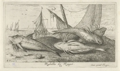 Fyra röda multar på stranden Rubellio Le Rouget. (titel på objekt) Fiskar och andra havsdjur - saltvattens andra serie (serietitel) Poissons de mer (serietitel)