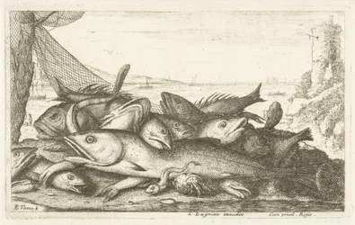 Eremitkräfta fiske Olika fiskarter (serietitel) Diverses Especes De Poissons tant de Mer, que d