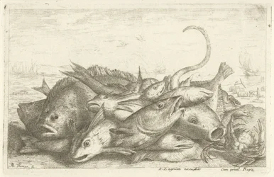 Krabbfiske Olika fiskarter (serietitel) Diverses Especes De Poissons tant de Mer, que d