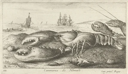 Hummer på stranden Cammarus. Le Homard (titel på objekt) Fiskar och andra havsdjur - saltvatten första serie (serietitel) Diverses Especes de Poissons de mer (serietitel)