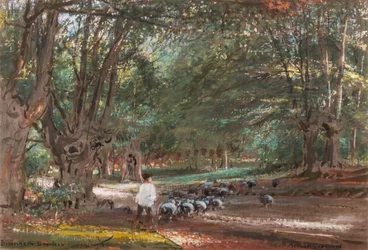Burnham Beeches (akvarell och bodycolour)