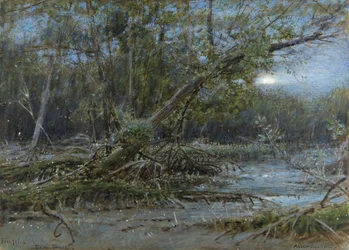 Eldflugor, Demerera, ca 1902 (w/c och kroppsfärg på papper)