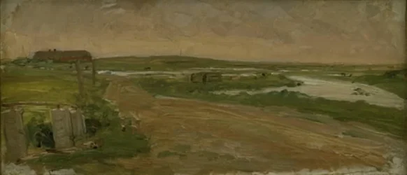 Västjysk landskap. Holmsland
