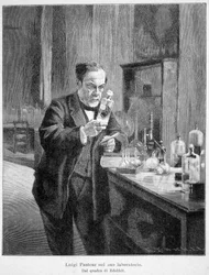 Louis Pasteur i sitt laboratorium enligt målningen av edelfelt