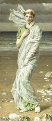 Snäckskal, 1875