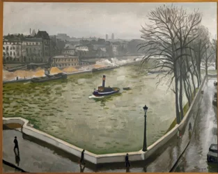 Seinen i Paris