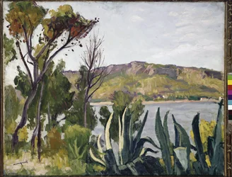 Landskap med agave. (olja på duk