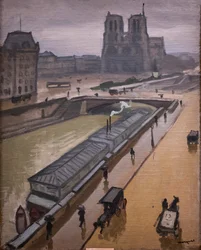 Regnig dag. Notre Dame de Paris
