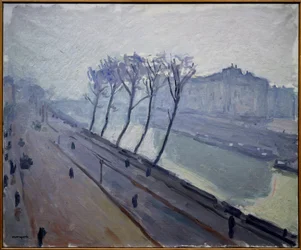 Utsikt över kajerna i Seine i Paris
