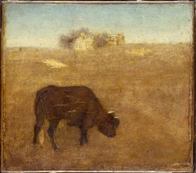 Evening Glow, den gamla röda kon, tidigt till mitten av 1870-talet