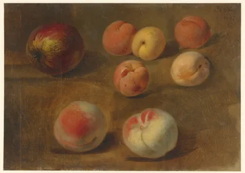Stilleben med äpple, persikor och aprikoser