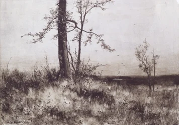 Landskap
