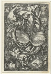 Ornament med bladranken