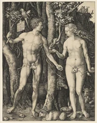 Adam och Eva, 1504