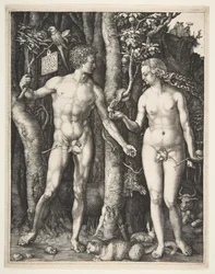 Adam och Eva, 1504.