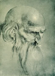 Apostelhuvud
