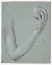 Evas arm