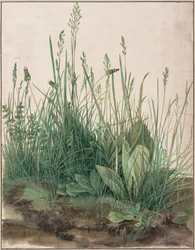 Den stora grästuvan