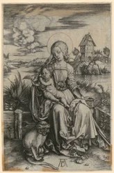 Maria med silkesapan