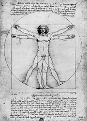 Den mänskliga figurens proportioner, cirka 1492, 1936
