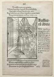 Dårarnas skepp, efter 1497.