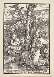 St Francis tar emot stigmata