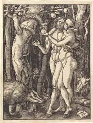 Syndafallet