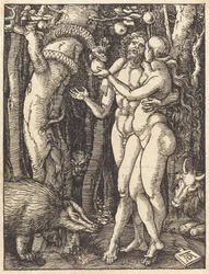 Människans fall, förmodligen ca. 15091510.