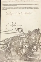 The Triumphal Chariot of Maximilian I (The Great Triumphal Car) [skylt 3 av 8]