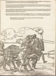 Maximilian I:s triumfvagn (Den stora triumfvagnen) [skylt 5 av 8]
