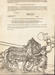 The Triumphal Chariot of Maximilian I The Great Triumphal Car [skylt 8 av 8], 1523 latinsk upplaga..