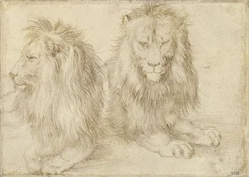 Två sittande lejon, 1521