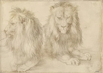 Två liggande lejon. 1521