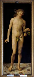 Adam Målning av Albrecht Durer (1471-1528) 1507 Sön. 2,09 x 0,80 m Madrid, Pradomuseet - Adam. Målning av Albrecht Durer (1471-1528), olja på panel