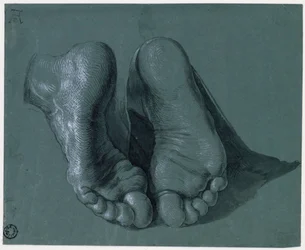 Etude de pieds - Study of Two Feet - Teckning av Albrecht Durer (1471-1528), Akvarell, vit färg, svart krita på papper, c1508 (17,6x21,6cm) - Museum Boijmans Van Beuningen, Rotterdam
