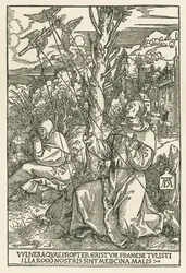 Sankt Franciskus får stigmata, ca 1503-04 (träsnitt)