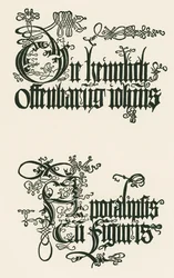 Titel på den tyska utgåvan från 1498: Den hemliga uppenbarelsen av Johannes ...