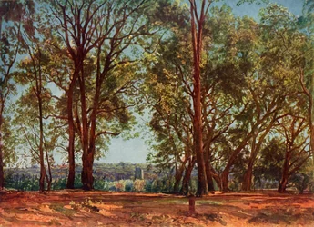 I Aricci-parken, 1830-talet, 1965.