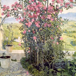 Dalen i Umbrien, 1910-talet.