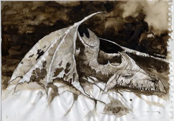 Illustration av ett fantastiskt och legendariskt djur: döda drakkroppar. Färgteckning av Alessandro Lonati.