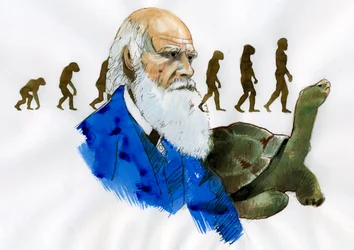 Porträtt av Charles Darwin - Porträtt av den engelske naturforskaren Charles Darwin (1809-1882), illustration