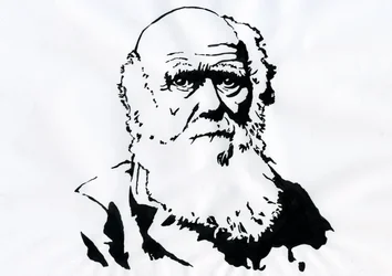 Porträtt av Charles Darwin - Porträtt av den engelske naturforskaren Charles Darwin (1809-1882) Illustration