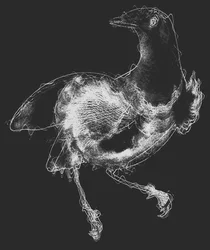 Bird III, 2020 (blandade media)