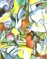 Studie nr 1, 2017
